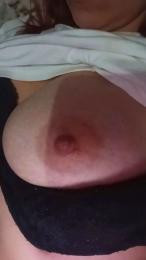 Shasol webcam model stream image