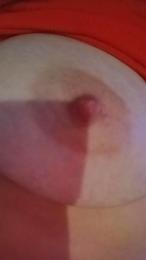 Shasol webcam model stream image