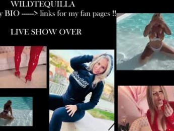 wildtequilla chaturbate stream image