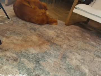 x_lily_x chaturbate stream image