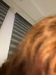 crystal_bunny7 stripchat stream image