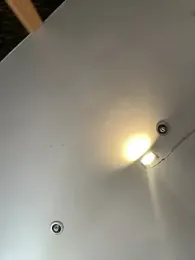 Rose-euphoria stripchat stream image