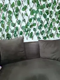 Bold-Cat stripchat stream image