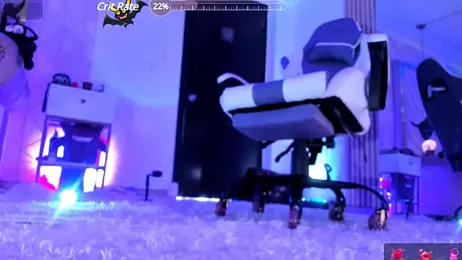 zephirahabney stripchat stream image