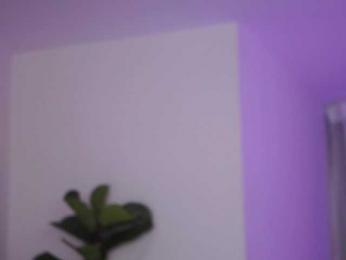 NicoleSarahX bongacams stream image, 09.02.2025 01:00