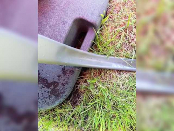 Angelia22 bongacams stream image