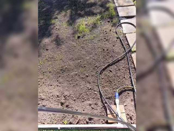 Angelia22 bongacams stream image