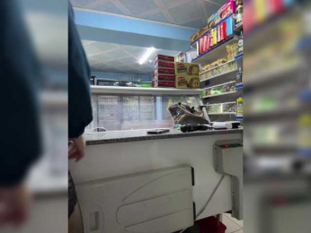 praesertim bongacams stream image