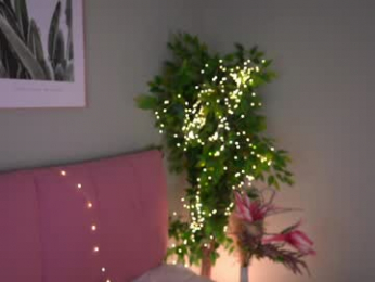 islandladies chaturbate stream image