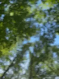 AngelinaTeller stripchat stream image