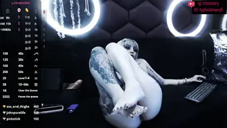 TyphoidMary stripchat stream image