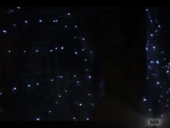 ALVUWKA bongacams stream image