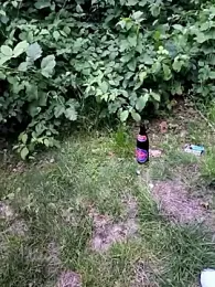 Secret_couple_ stripchat stream image