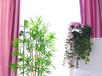 ArtTeasee bongacams stream image