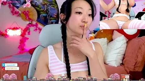 MySweetSofie stripchat stream image