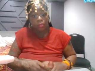 stalliontheesavage camsoda stream image