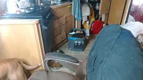 DADDY_KANE8--- stripchat stream image