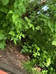 AngelinaTeller stripchat stream image