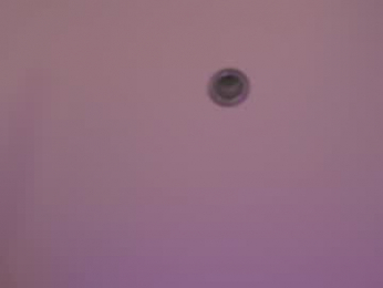 soficb chaturbate stream image