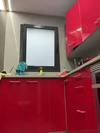 angelitasexy81 stripchat stream image