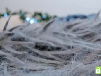 pinkncrazy chaturbate stream image