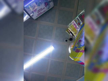 praesertim bongacams stream image