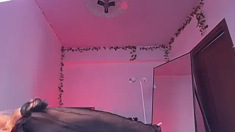 Erectioneereing stripchat stream image