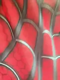 Hoot-Anime- stripchat stream image