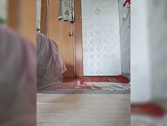 Heavenly_Wings bongacams stream image