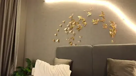 BBabyShark stripchat stream image