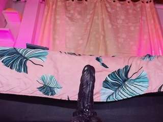 mssbombom camsoda stream image