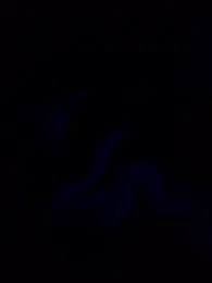 3littleschoolteens stripchat stream image