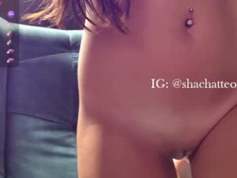 shachatte chaturbate stream image