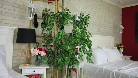 EmillyBronte stripchat stream image