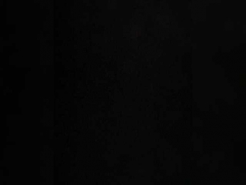 PALMIIRA bongacams stream image