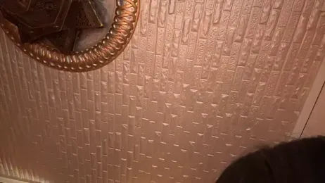 ORLA86 stripchat stream image