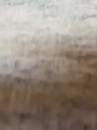 NewLale stripchat stream image