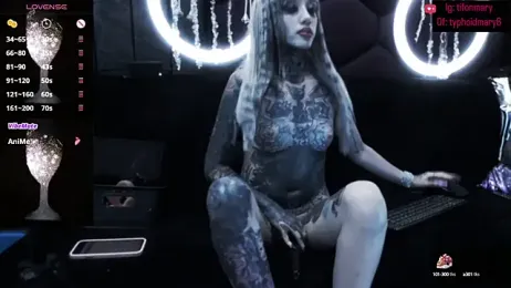 TyphoidMary stripchat stream image