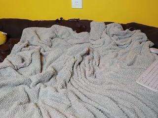 ebonyallieprettypink camsoda stream image