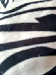 AngelinaTeller stripchat stream image