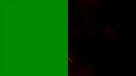 dariadoll stripchat stream image