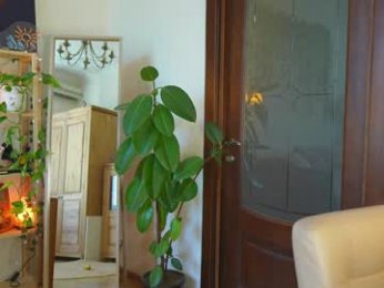 eli_sun chaturbate stream image