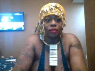 stalliontheesavage camsoda stream image