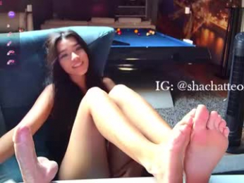 shachatte chaturbate stream image