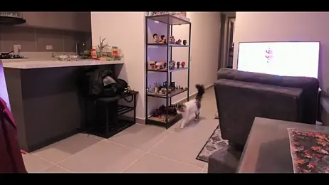 LorenRosse stripchat stream image