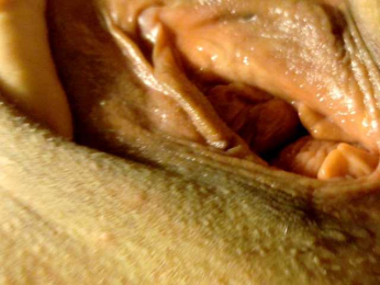 Frummi bongacams stream image