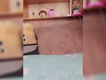 MS-86 bongacams stream image