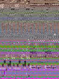 Milena-1 stripchat stream image