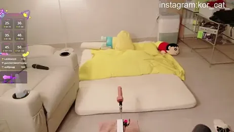 Kor_Cat stripchat stream image