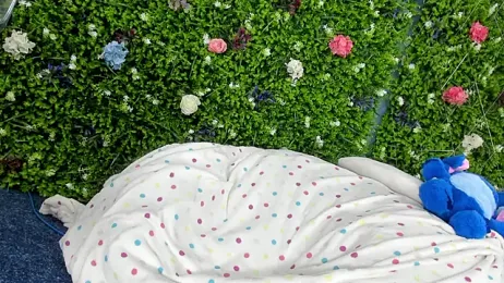 BabyAylin stripchat stream image